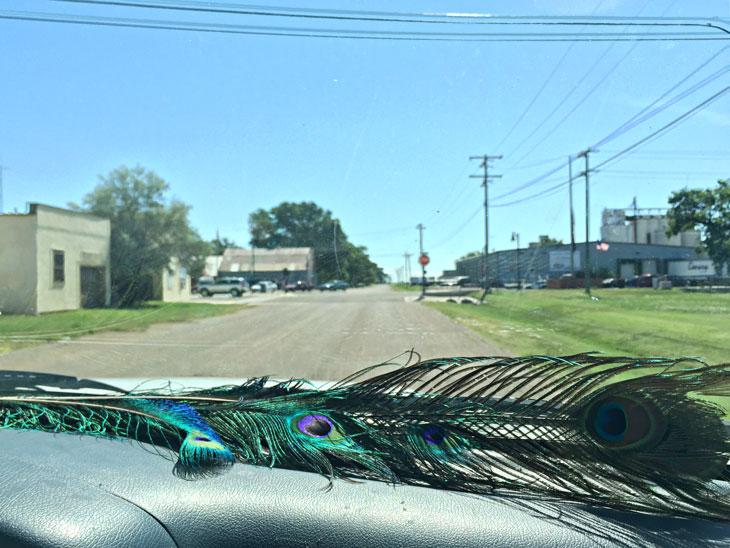 Boat with peacock feathers in Holly, Colorado